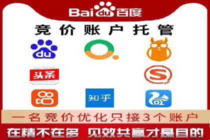 精准投放，高效转化：关键词竞价排名案例解析
